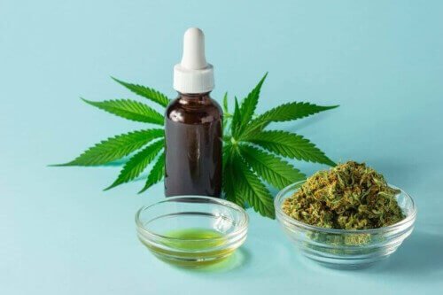 HEMP OIL VS CBD OIL –WHAT’S THE DIFFERENCE?
