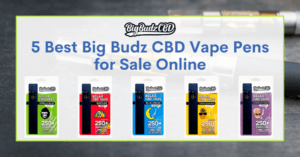 Where and How to Dispose of a Vape Pen or Vape Cart