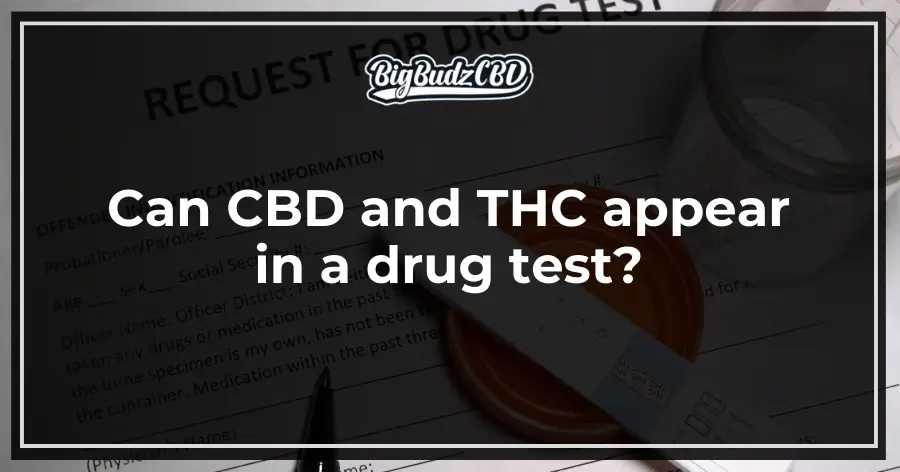 Can CBD and THC appear in a drug test