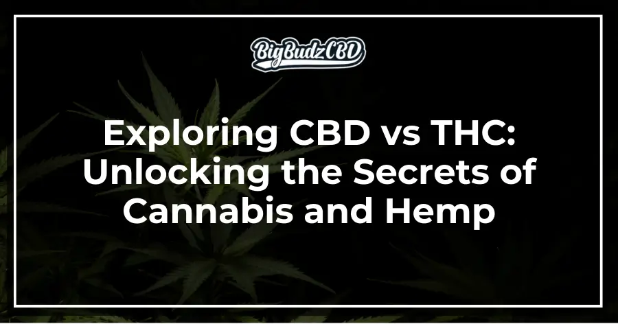Exploring CBD vs THC_ Unlocking the Secrets of Cannabis and Hemp
