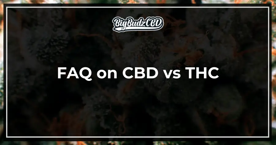 FAQ on CBD vs THC