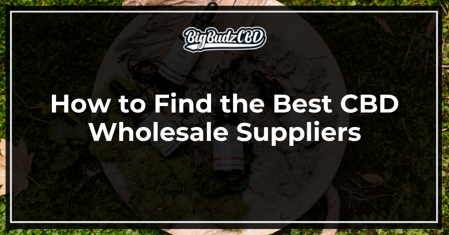 How to Find the Best CBD Wholesale Suppliers