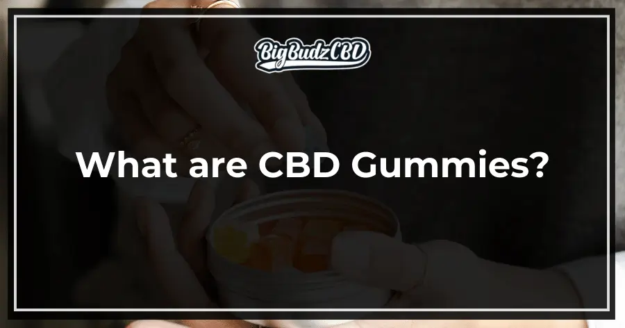 What are CBD Gummies