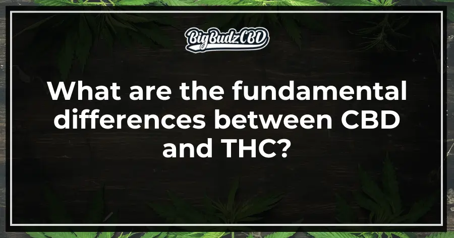 What are the fundamental differences between CBD and THC