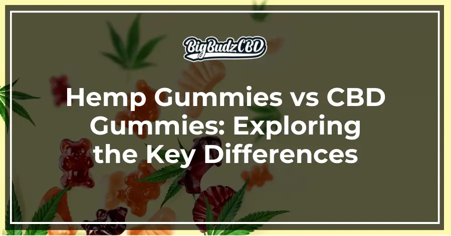 Hemp Gummies vs CBD Gummies_ Exploring the Key Differences