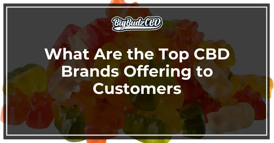 What Are the Top CBD Brands Offering to Customers