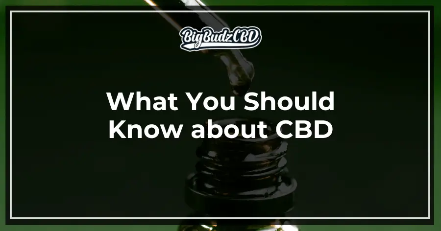 What You Should Know about CBD