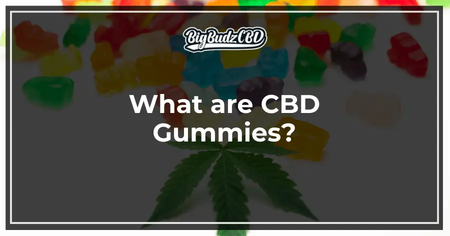 What are CBD Gummies