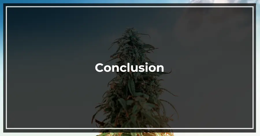 HHC on Drug Test Conclusion