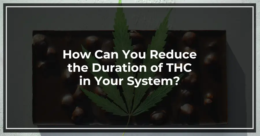 How Can You Reduce the Duration of THC in Your System