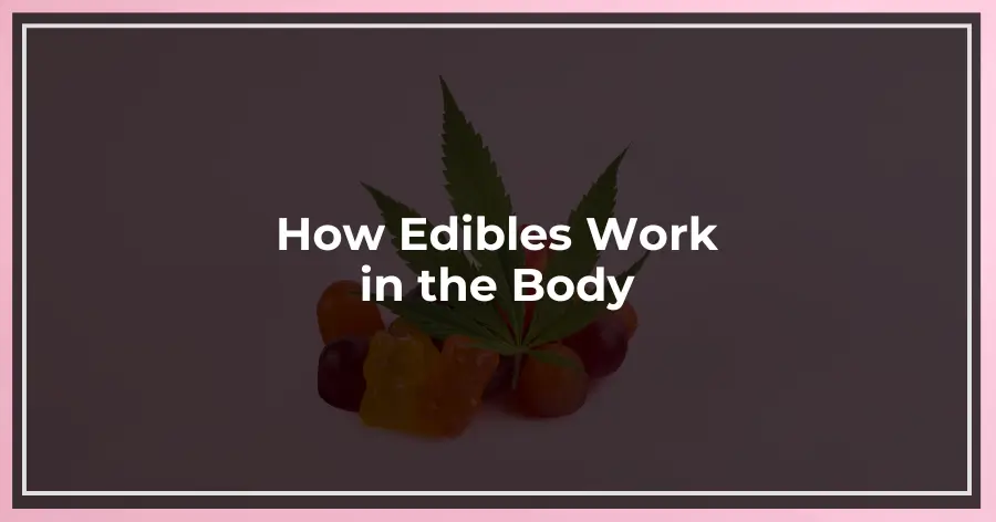 How Edibles Work in the Body