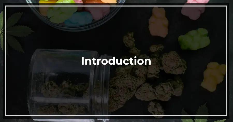 Introduction Edibles in Your System