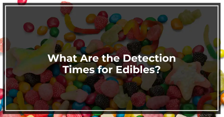 What Are the Detection Times for Edibles