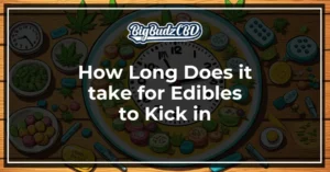 How Long Do Edibles Take to Kick In