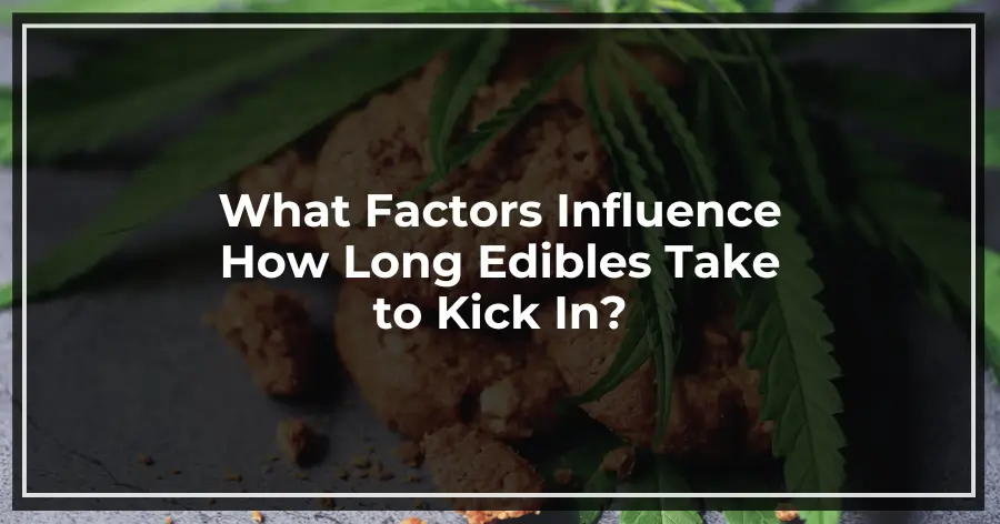 What Factors Influence How Long Edibles Take to Kick In