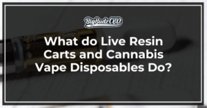 What do Live Resin Carts and Cannabis Vape Disposables Do