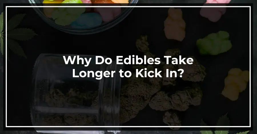 Why Do Edibles Take Longer to Kick In