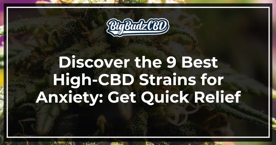 Discover the 9 Best High-CBD Strains for Anxiety_ Get Quick Relief