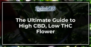 high cbd low thc flower