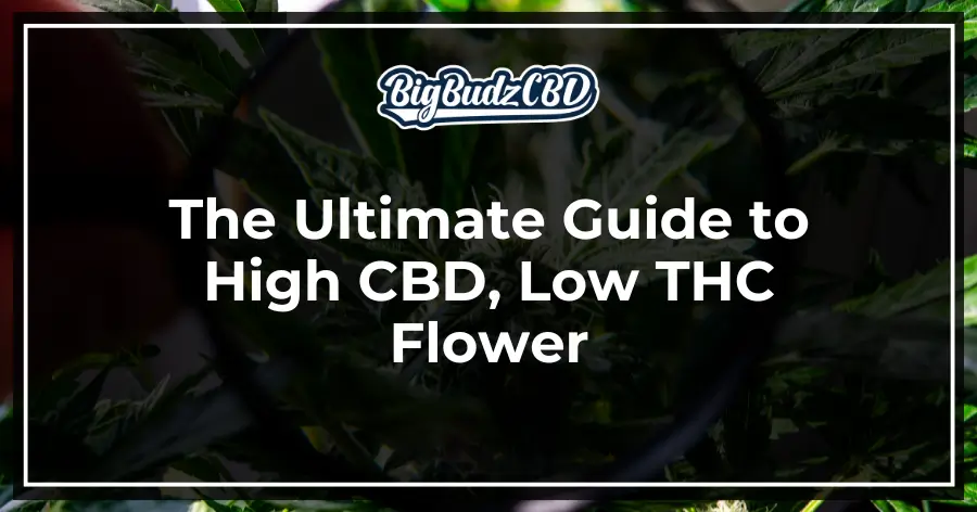 high cbd low thc flower