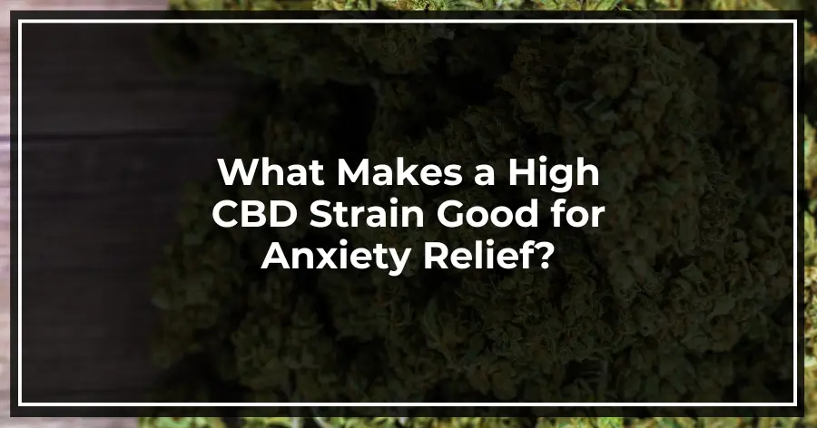 What Makes a High CBD Strain Good for Anxiety Relief