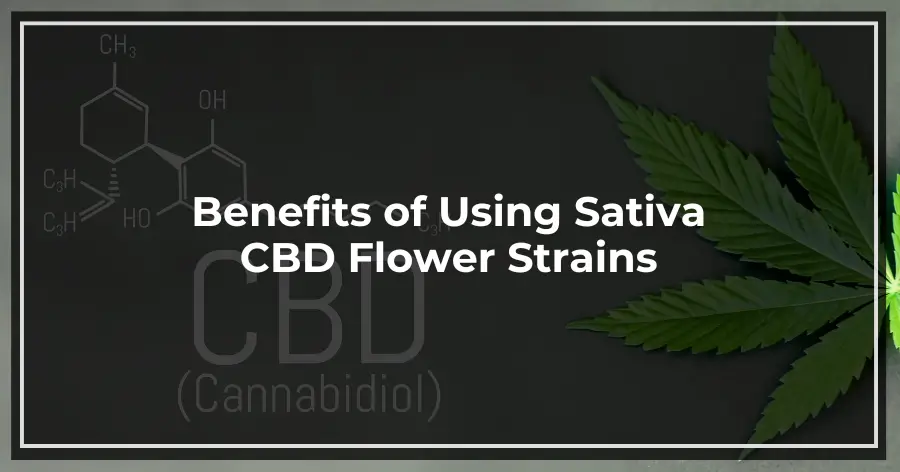 Benefits of Using Sativa CBD Flower Strains
