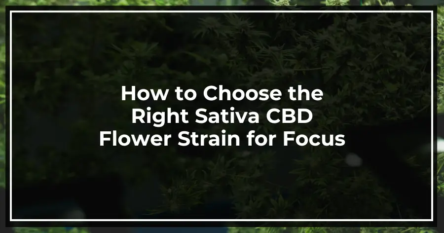 How to Choose the Right Sativa CBD Flower Strain for Focus (1)