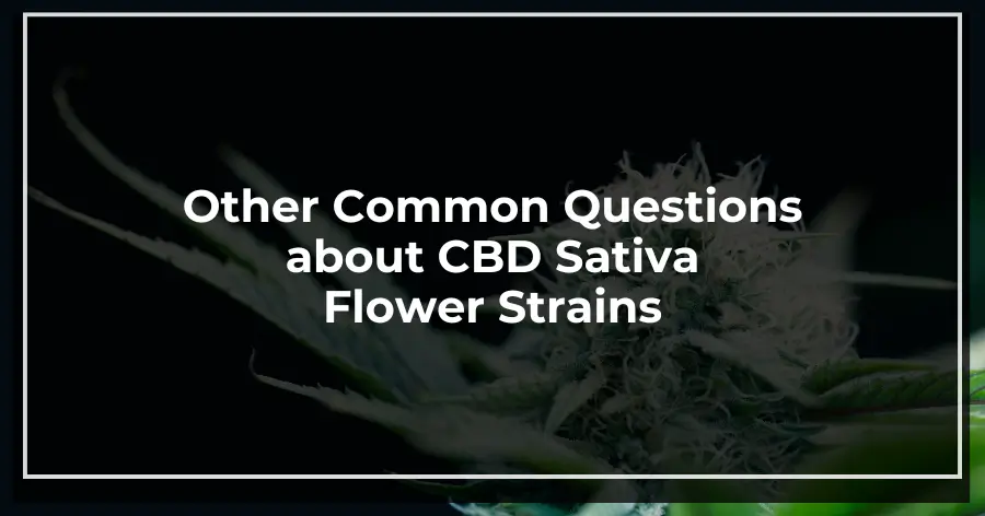 Other Common Questions about CBD Sativa Flower Strains