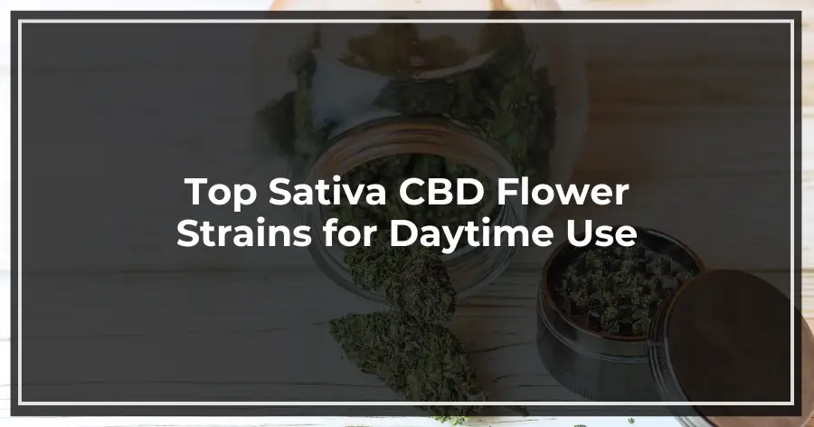 Top Sativa CBD Flower Strains for Daytime Use