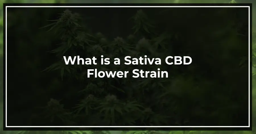 What is a Sativa CBD Flower Strain