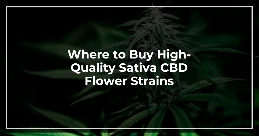 Where to Buy High-Quality Sativa CBD Flower Strains