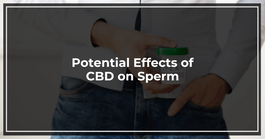 Potential Effects of CBD on Sperm