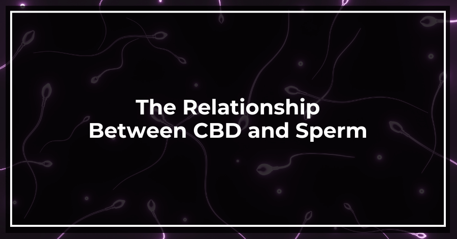 The Relationship Between CBD and Sperm