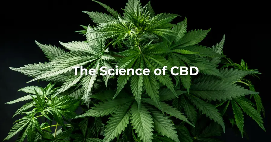The Science of CBD