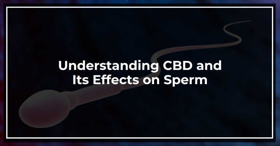 Understanding CBD and Its Effects on Sperm