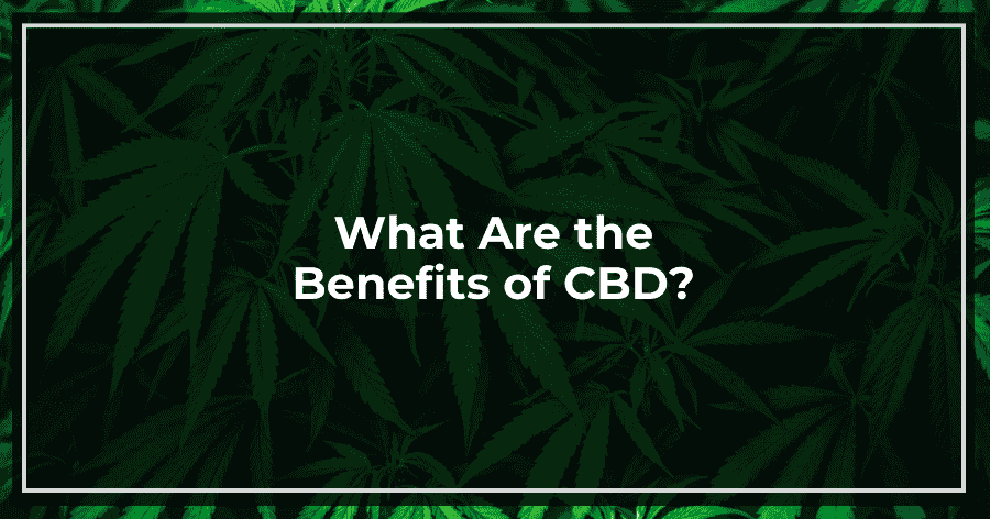 What Are the Benefits of CBD