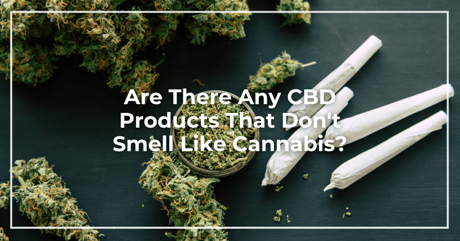 Are There Any CBD Products That Don't Smell Like Cannabis