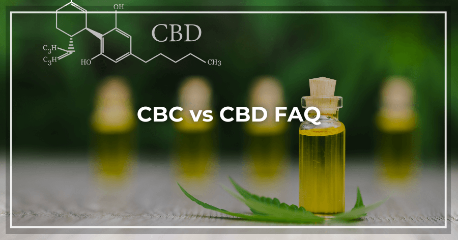 CBC vs CBD FAQ
