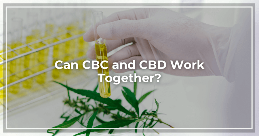 Can CBC and CBD Work Together