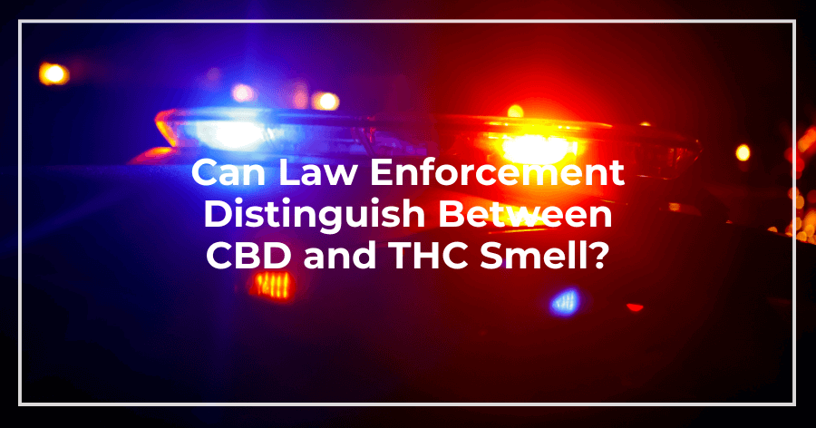 Can Law Enforcement Distinguish Between CBD and THC Smell