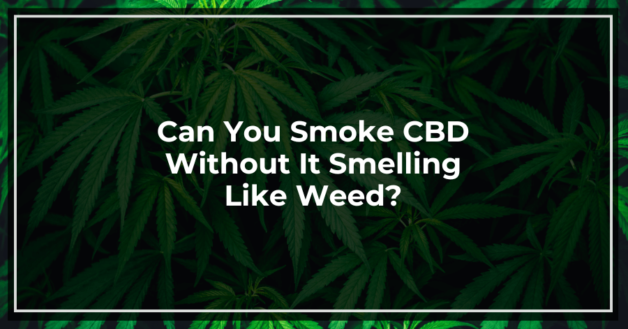 Can You Smoke CBD Without It Smelling Like Weed