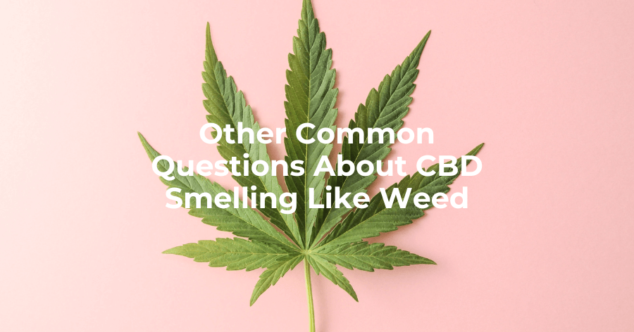 FAQ Other Common Questions About CBD Smelling like Weed