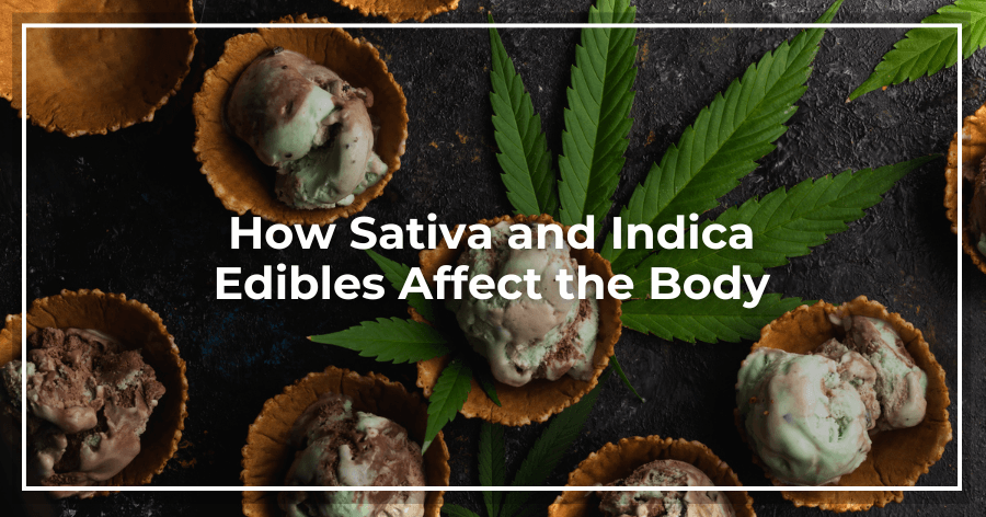 How Sativa and Indica Edibles Affect the Body