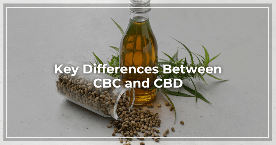 Key Differences Between CBC and CBD