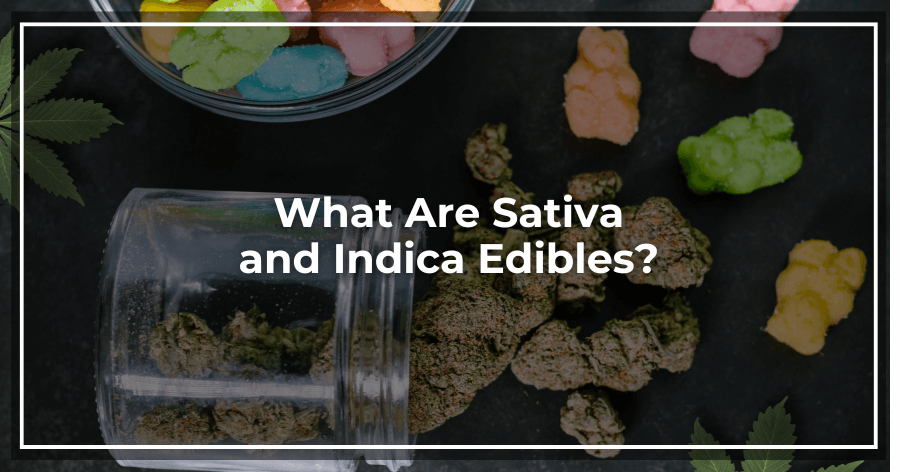 What Are Sativa and Indica Edibles