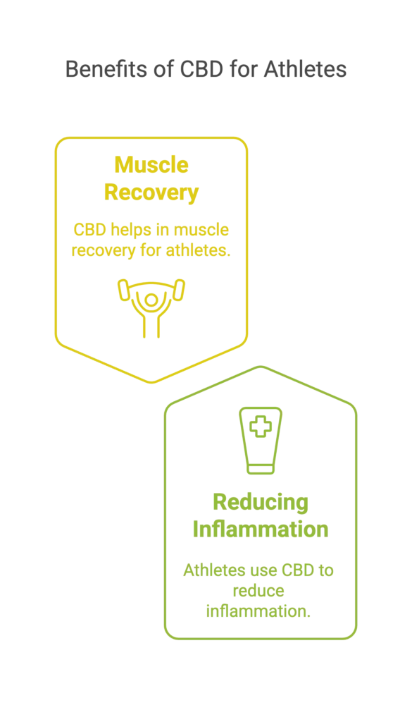 Benefits of CBD for Athletes