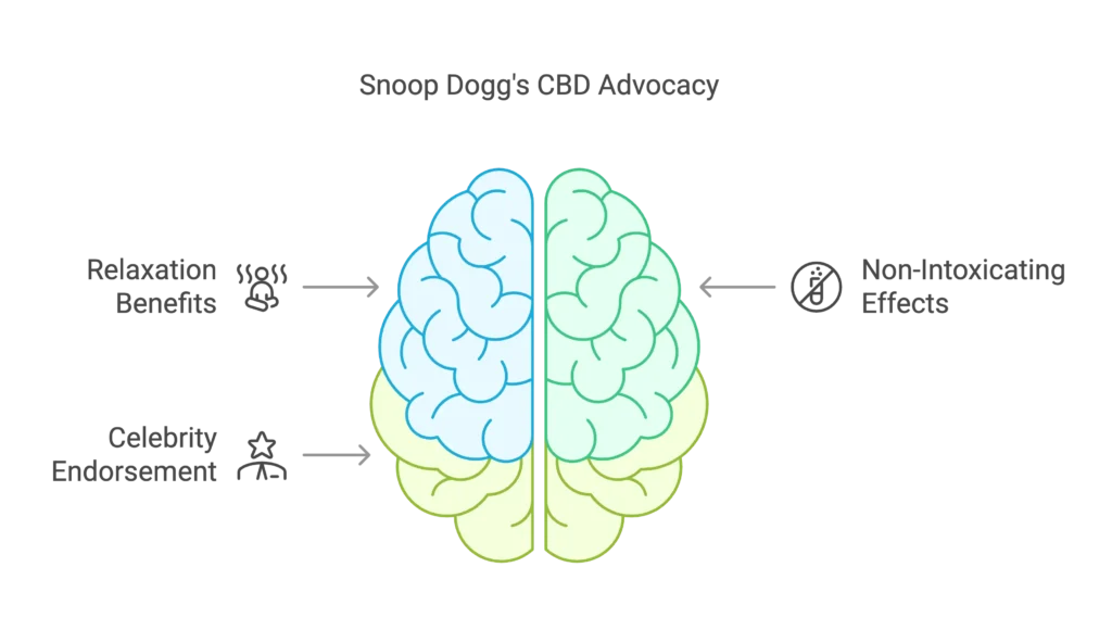 Snoop Dogg's CBD Advocacy
