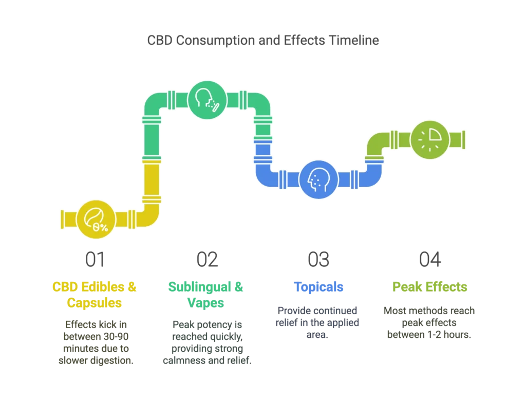 30 - 90 Minute Full Effects of CBD