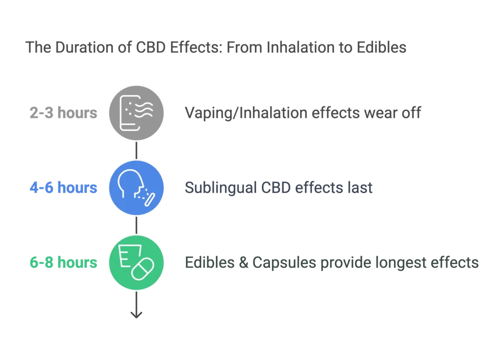 The Duration of CBD Effects: From Inhalation to Edibles