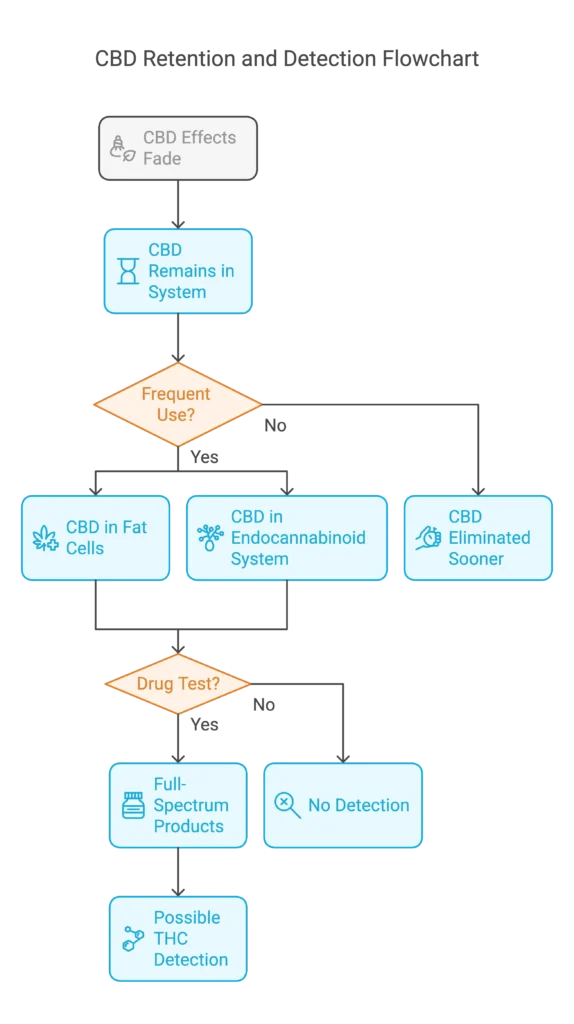 CBD Retention and Detection Flowchart